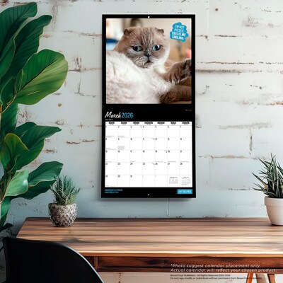 2026 BrownTrout Cat Selfies 12" x 12" Monthly Wall Calendar (9798330702794)