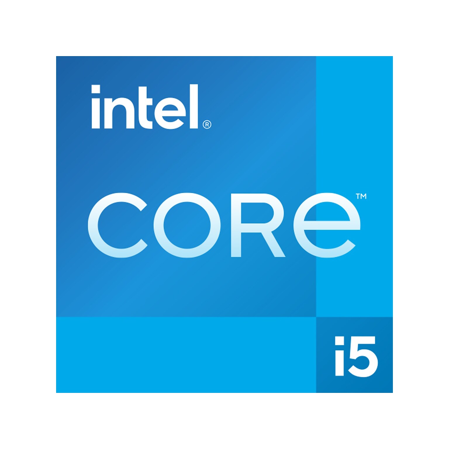 Intel Core i5-13400 13th Gen 10-core 2.5Ghz Computer Processor, Socket FCLGA1700 (BX8071513400)