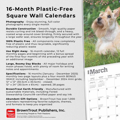 2025 BrownTrout Scottish Terriers 12" x 24" Monthly Square Wall Calendar, (9781975475673)
