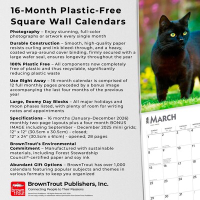 2026 BrownTrout Black Cats 12" x 12" Monthly Wall Calendar (9798330702480)