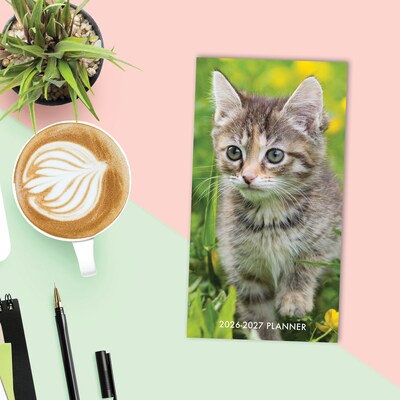 2026-2027 Willow Creek Cat-astrophe 3.5" x 6.5" Monthly Planner, Paperboard Cover (56509)