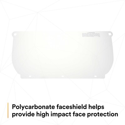 3M WP98 Reusable Face Shield Headgear, Fog Resistant, Clear, 10/Carton (247-82543-00000)