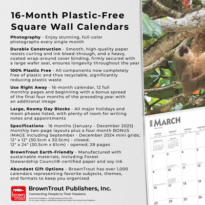 2025 BrownTrout Sloths 12" x 12" Monthly Square Wall Calendar (9781975475703)