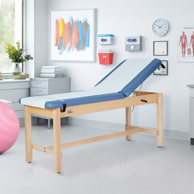 Aristo Wood Physician Exam Table with Adjustable Backrest, Paper Cutter, and Holder, 500lbs. Capacity, Blue (ADI996-HBF-BLU)