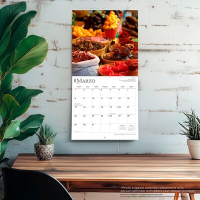 2026 BrownTrout Mercados de Mexico Markets of Mexico 12" x 12" Monthly Wall Calendar (9798330704552)