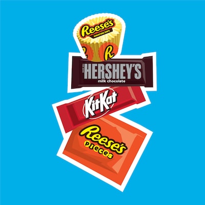 Hershey's Assorted Chocolate Variety Pack, 24.8 oz. (246-00013)