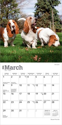 2026 BrownTrout Basset Hounds 7" x 7" Monthly Wall Calendar (9798330702312)
