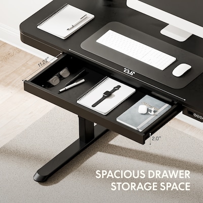 FlexiSpot EW2 48"W Electric Adjustable Standing Desk, Black (EW2B-E)