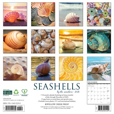 2026 Willow Creek Seashells 12 x 12 Monthly Wall Calendar (52709)