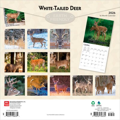 2026 BrownTrout White Tailed Deer 12 x 12 Monthly Wall Calendar (9798330706334)