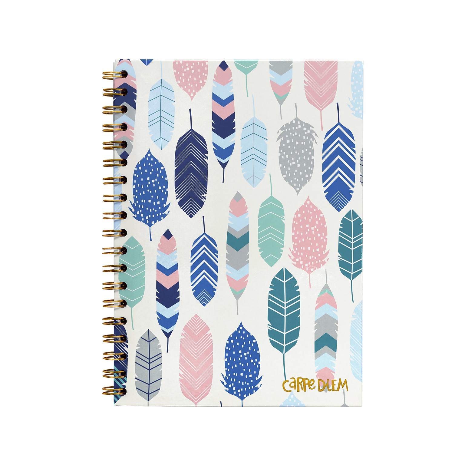 Carpe Diem Feathers 1-Subject Notebook, 7.5 x 9.75, Wide-Ruled, 80 Sheets, Multicolor (9379-CD)