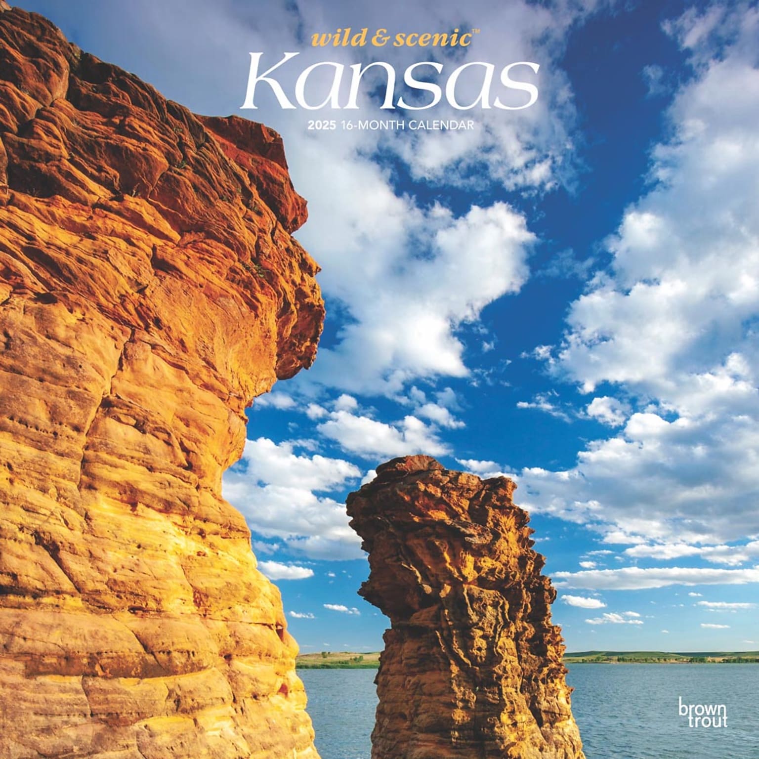 2025 BrownTrout Kansas Wild & Scenic 12 x 12 Monthly  Wall Calendar (9781975474997)