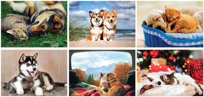 Custom Furry Friends Stapled Wall Calendar