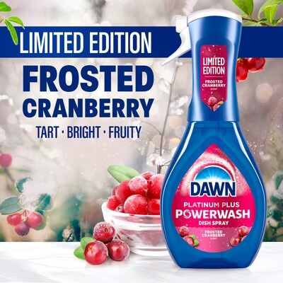Dawn Powerwash Liquid Dish Soap Spray, Frosted Cranberry, 16 fl oz. (15940)