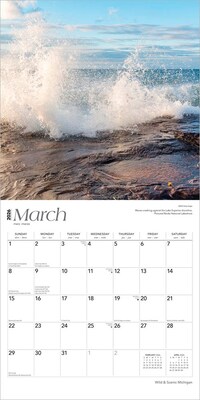 2026 BrownTrout Michigan Wild & Scenic 12" x 12" Monthly Wall Calendar (9798330704590)