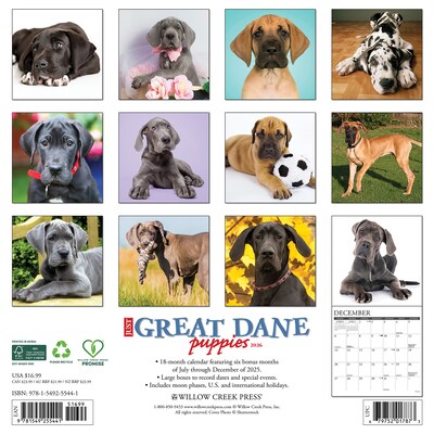 2026 Willow Creek Great Dane Puppies 12 x 12 Monthly Wall Calendar (55441)