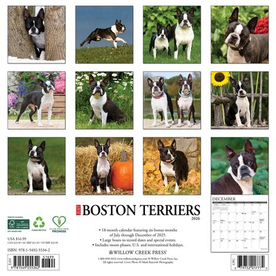 2026 Willow Creek Boston Terriers 12 x 12 Monthly Wall Calendar (55342)