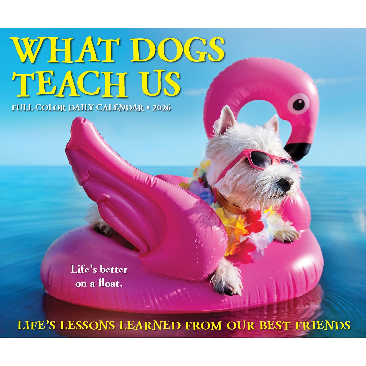 2026 Willow Creek What Dogs Teach Us 6.2 x 5.4 Day-to-Day Calendar (54512)