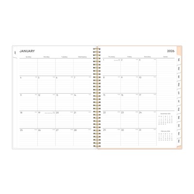 2026 Blue Sky Natalya 8.5" x 11"  Weekly & Monthly Planner, Plastic Cover, Multicolored (148764-26)