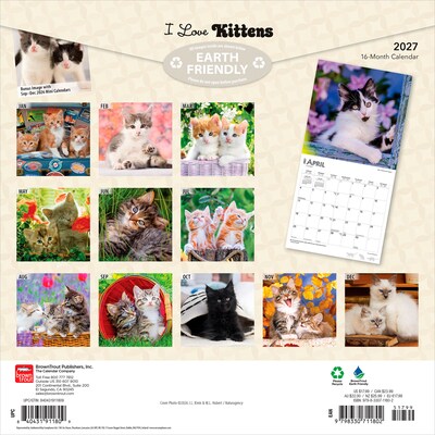 2027 BrownTrout I Love Kittens 12 x 12 Monthly Wall Calendar (9798330711802)
