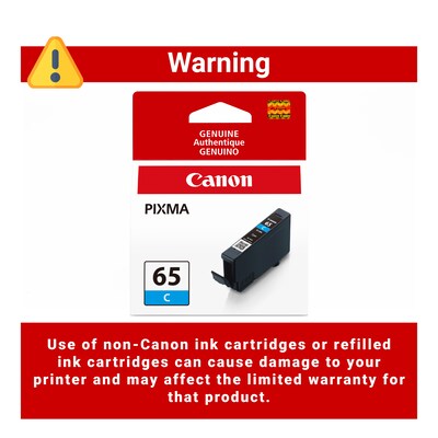 Canon 65 C Cyan Standard Yield Ink Cartridge (4216C002)