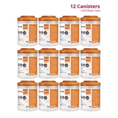 PDI Sani-Cloth Disinfecting Wipes, 160 Wipes/Container, 12/Carton (P84172)