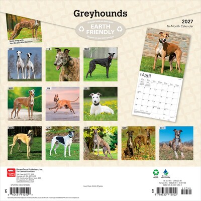 2027 BrownTrout Greyhounds 12 x 12 Monthly Wall Calendar (9798330712502)
