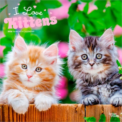 2026 BrownTrout I Love Kittens 12 x 12 Monthly Wall Calendar (9798330704149)