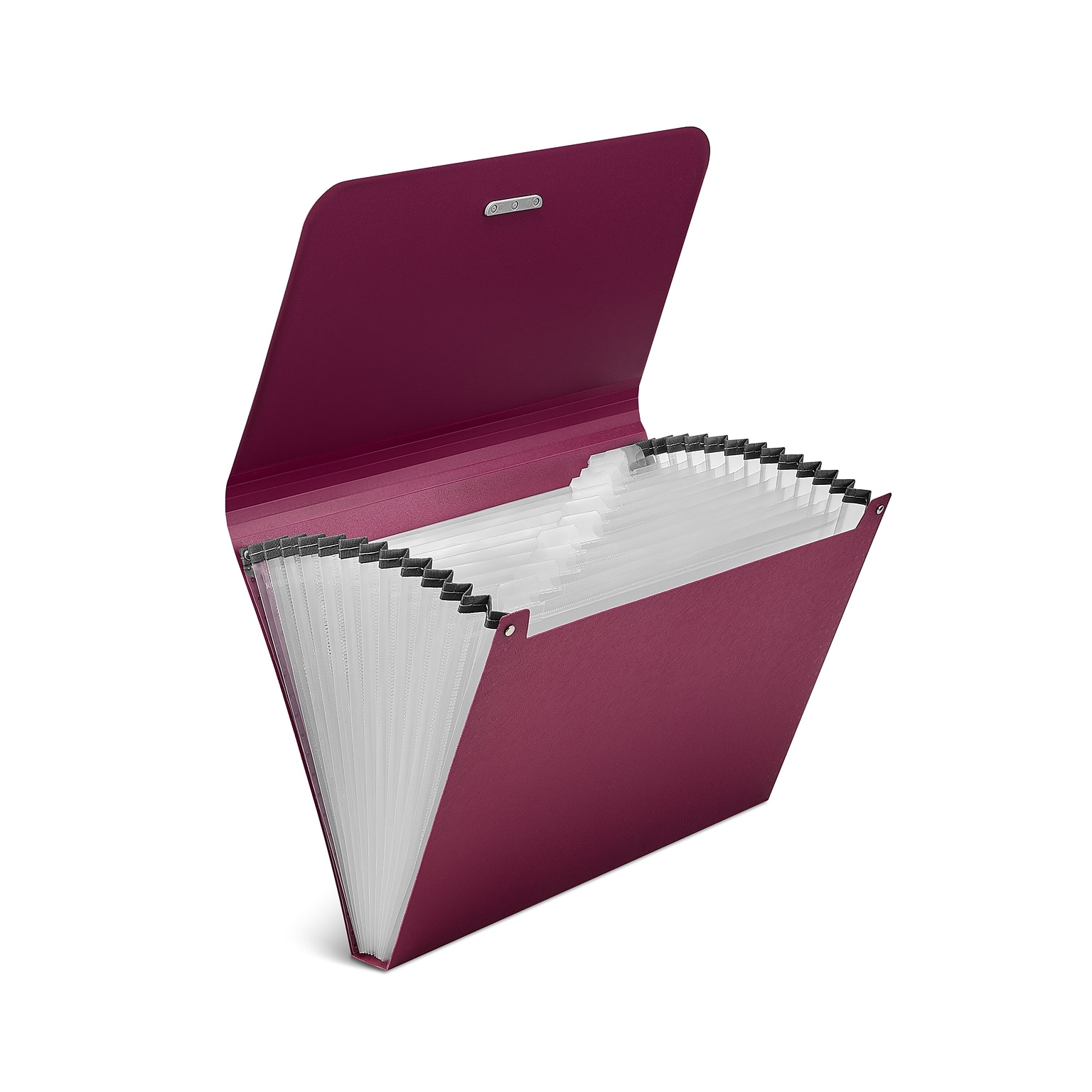 TRU RED Reinforced Plastic Accordion File, 13-Pocket, Letter Size, Purple (TR52015)