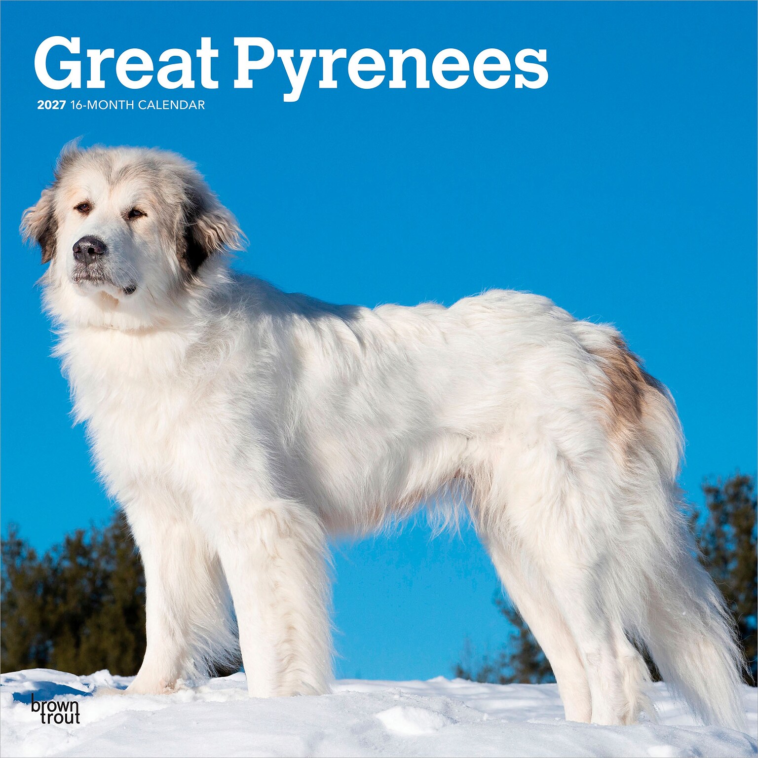 2027 BrownTrout Great Pyrenees 12 x 12 Monthly Wall Calendar (9798330712496)