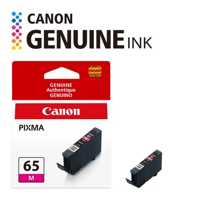 Canon 65 M Magenta Standard Yield Ink Cartridge (4217C002)