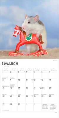 2026 BrownTrout Rats 12" x 12" Monthly Wall Calendar (9798330705313)