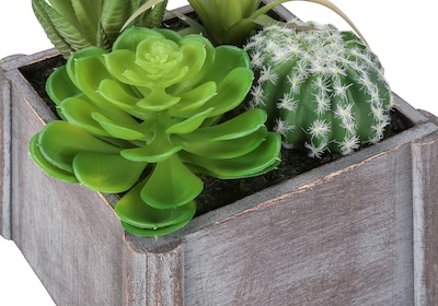 Monarch Specialties Inc. 8" Artificial Succulent Plant in Pot, 2/Set (I 9370)