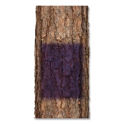 Rust-Oleum Specialty Spray Paint, 12 oz. Aerosol Can, Flat No Hunting Purple (RST270970)