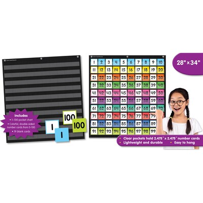 Teacher Created Resources Colorful Hundreds Pocket Chart, 28" x 34" (TCR20109)
