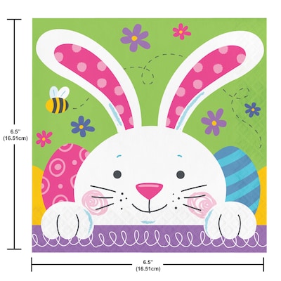 Say Hooray! Bunny Bliss Easter Disposable Paper Plates and Napkins Set, 48/Pack (DTC9626E2G)