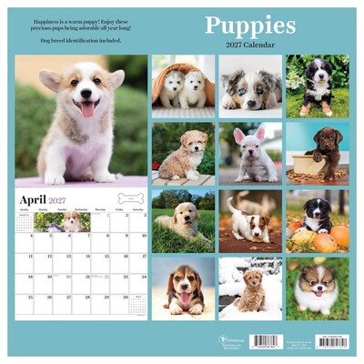 2027 TF Publishing Puppies 11" x 11" Monthly Wall Calendar, Multicolored (27-1025)