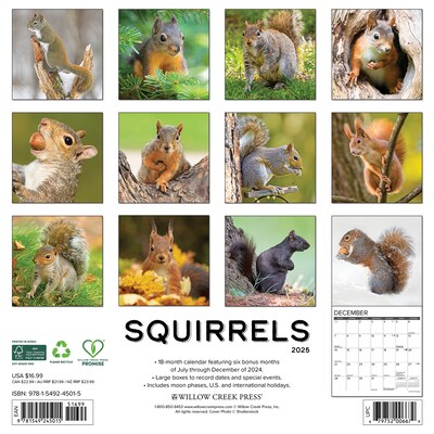 2025 Willow Creek Squirrels 12 x 12 Monthly Wall Calendar (45015)