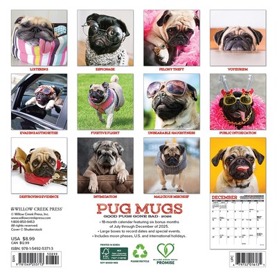 2026 Willow Creek Pug Mugs 7 x 7 Monthly Wall Calendar (53713)