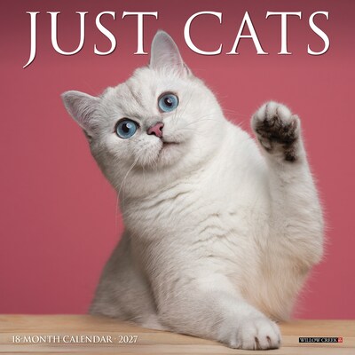 2027 Willow Creek Cats 7 x 7 Monthly Wall Calendar (64085)