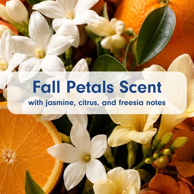 Softsoap Limited Edition Liquid Hand Soap, Fall Petals Scent, 11.25 oz. (61055102)
