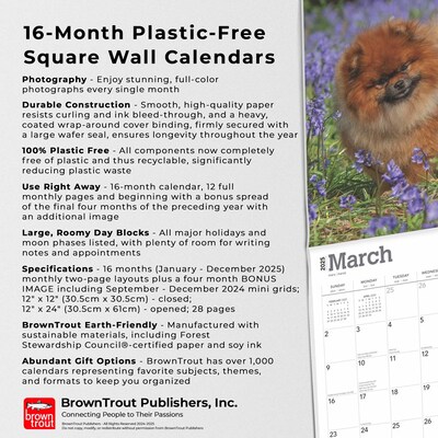 2025 BrownTrout Pomeranians 12" x 12" Monthly Wall Calendar (9781975477530)