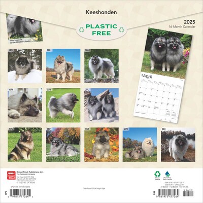 2025 BrownTrout Keeshonden 12 x 12 Monthly Wall Calendar (9781975477264)