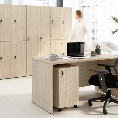 Bush Business Furniture Assure Mobile File Cabinet, Letter/Legal Size, Lockable, 26H x 16W x 20D,