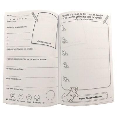 S&S Diario de Gratitud Prompts Guided Journal, 6" x 9", White, 100 Pages, 12/Pack (PE225512)