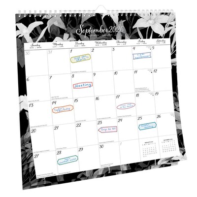 2026 BrownTrout Pen & Ink 12 x 12 Monthly Wall Calendar (9798330705092)