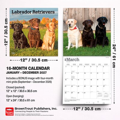 2027 BrownTrout Labrador Retrievers 12" x 12" Monthly Wall Calendar (9798330712540)