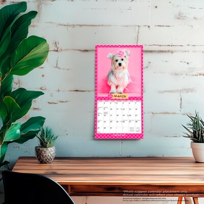 2026 BrownTrout Puppies in Pink 7" x 7" Monthly Wall Calendar (9798330707942)