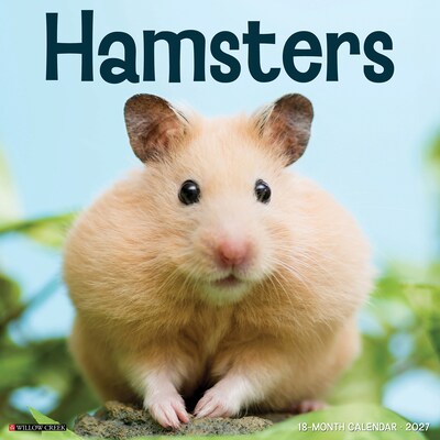 2027 Willow Creek Hamsters 12 x 12 Monthly Wall Calendar (60612)