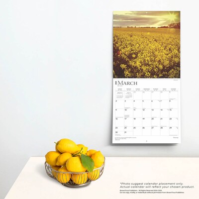 2025 BrownTrout Blessings 12" x 12" Monthly Wall Calendar (9781975476656)